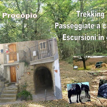 Affitta Camere San Procopio Troina Kültér fotó